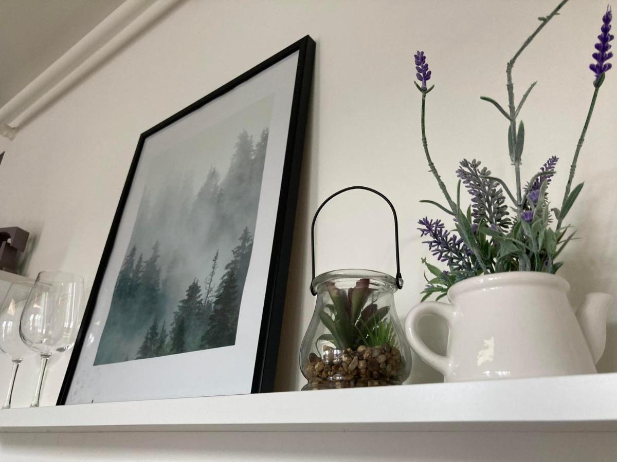 Apartament Miodowa 9 Zwierzyniec Extérieur photo